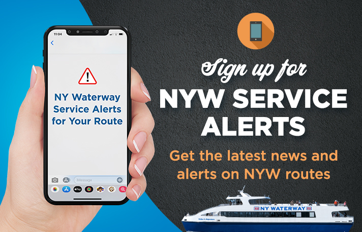 Text Alert SignUp Bannerr